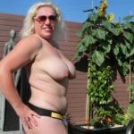 Beautiful Sunny Day In The Garden